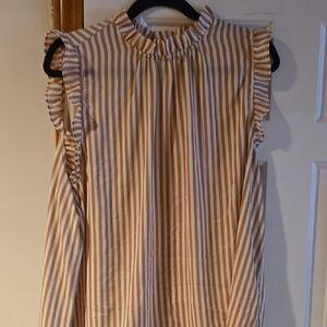 Ann Taylor Factory Brown and White Striped Blouse